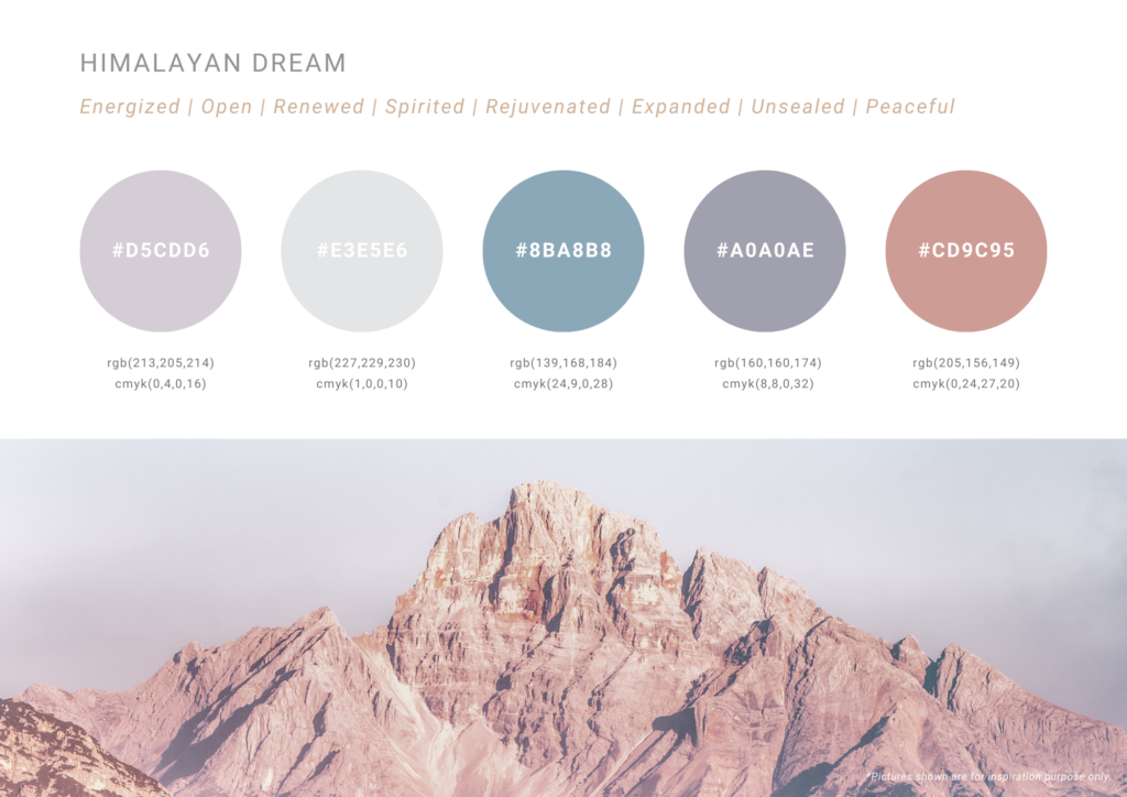 the color playbook